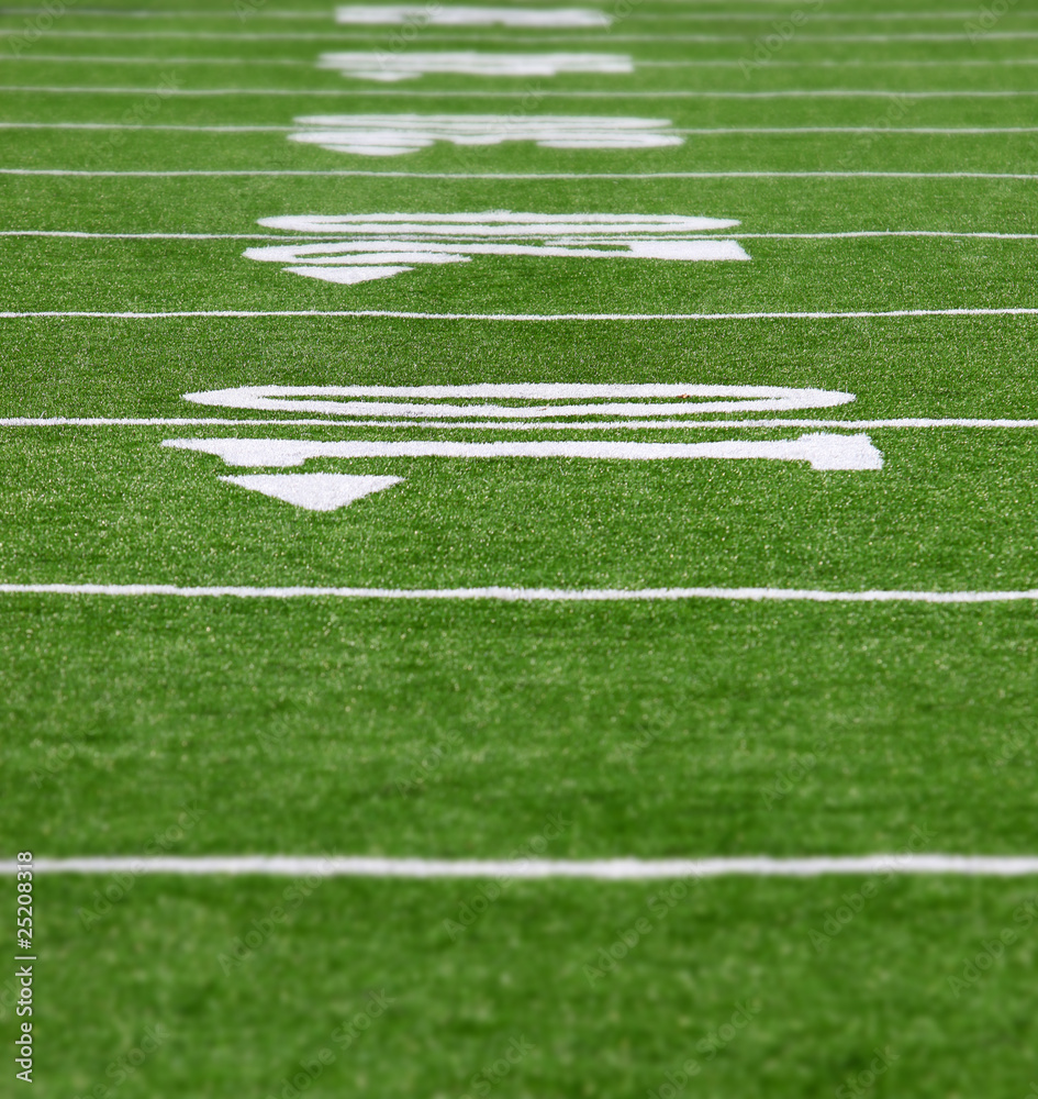 Obraz premium football field