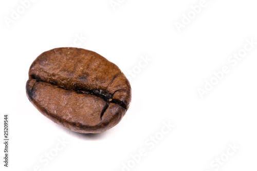 macro shot of a coffee bean, isolated on white