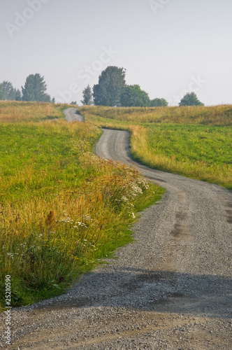 Road in the field