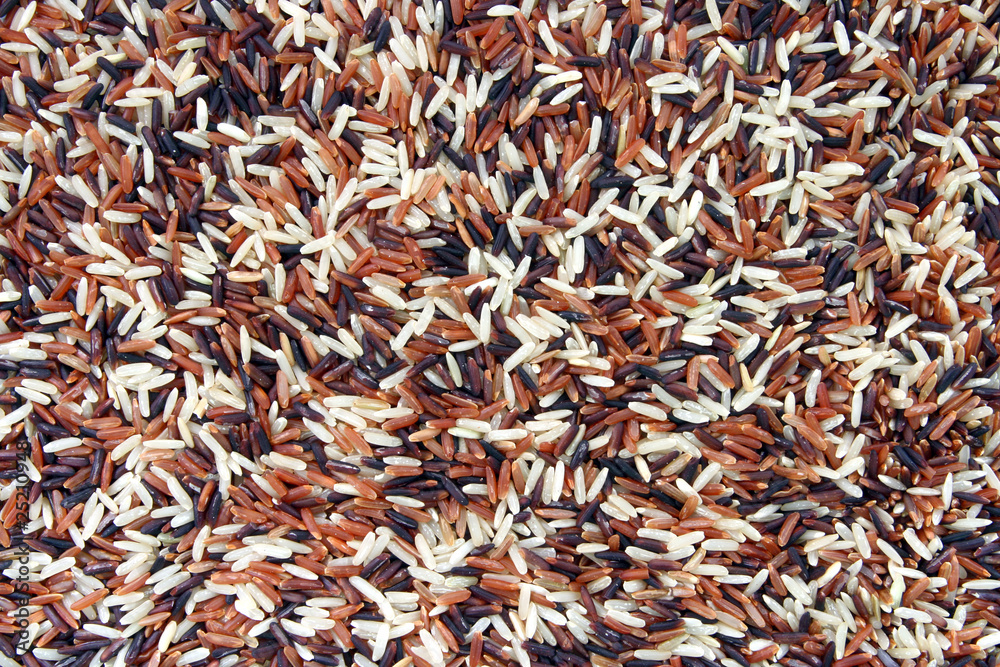Thai White Red Jasmine and Fragment magenta Organic rice Thai White Red Jasmine and Fragment magenta Organic rice
