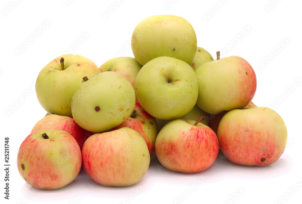 Fresh apples just from apple tree on white background Fresh apples just from apple tree on white background