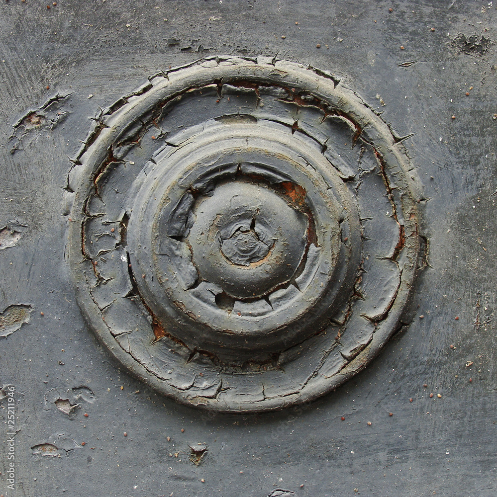 classical architecture detail on a metal door classical architecture detail on a metal door