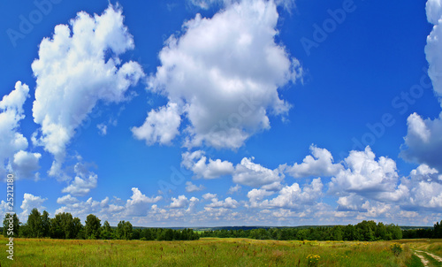 Summer panorama landscape