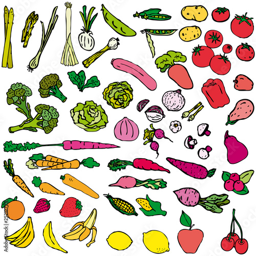 Vegetables and fruit vector illustration