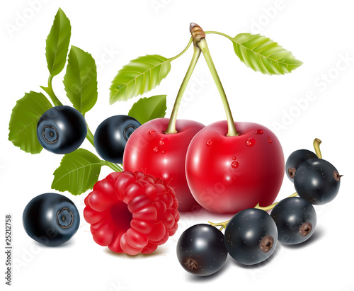 Vector of cherries, black currant, raspberry and blueberries