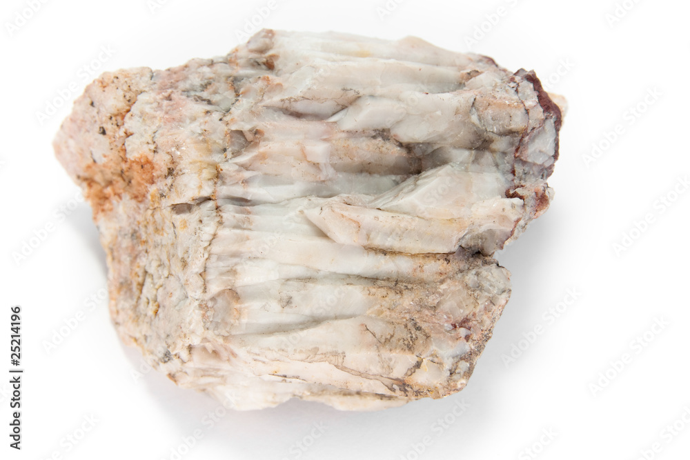 stone macro