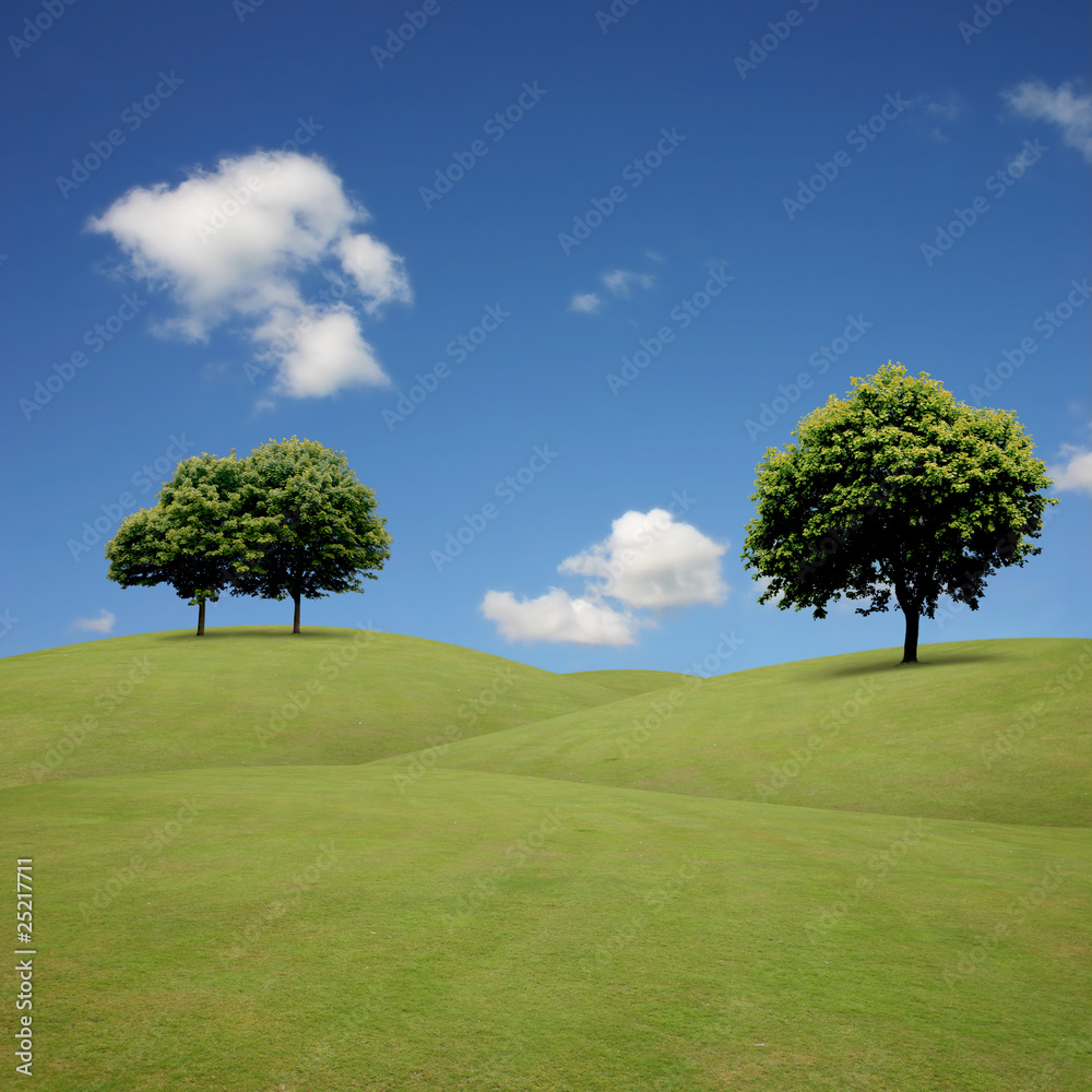 A Country Landscape with Trees and Grass Hills A Country Landscape with Trees and Grass Hills