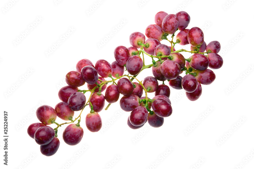Cluster of grapes Cluster of grapes
