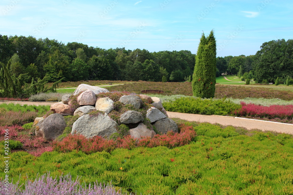 Lüneburger Heide-im Heidegarten