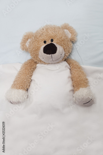 Teddy Bear Laying in Bed © Daniel Wiedemann