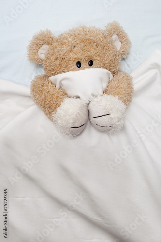 Teddy Bear Laying in Bed