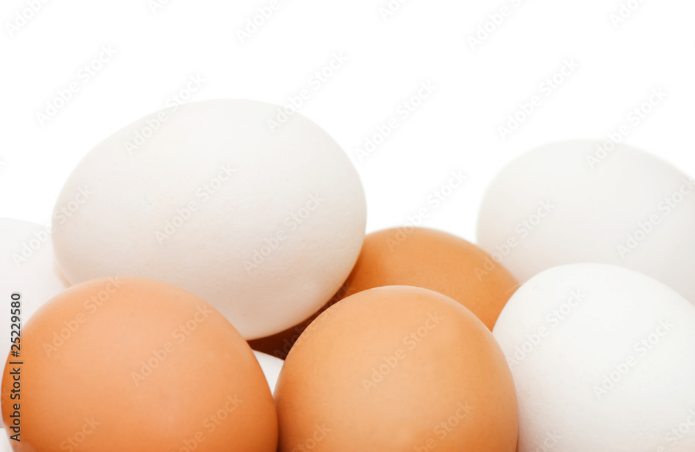 chicken eggs on a white background chicken eggs on a white background