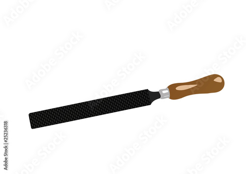 Vector illustration  rasp on a white background