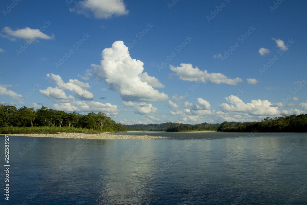Jungle and river in the Amazon rainforest