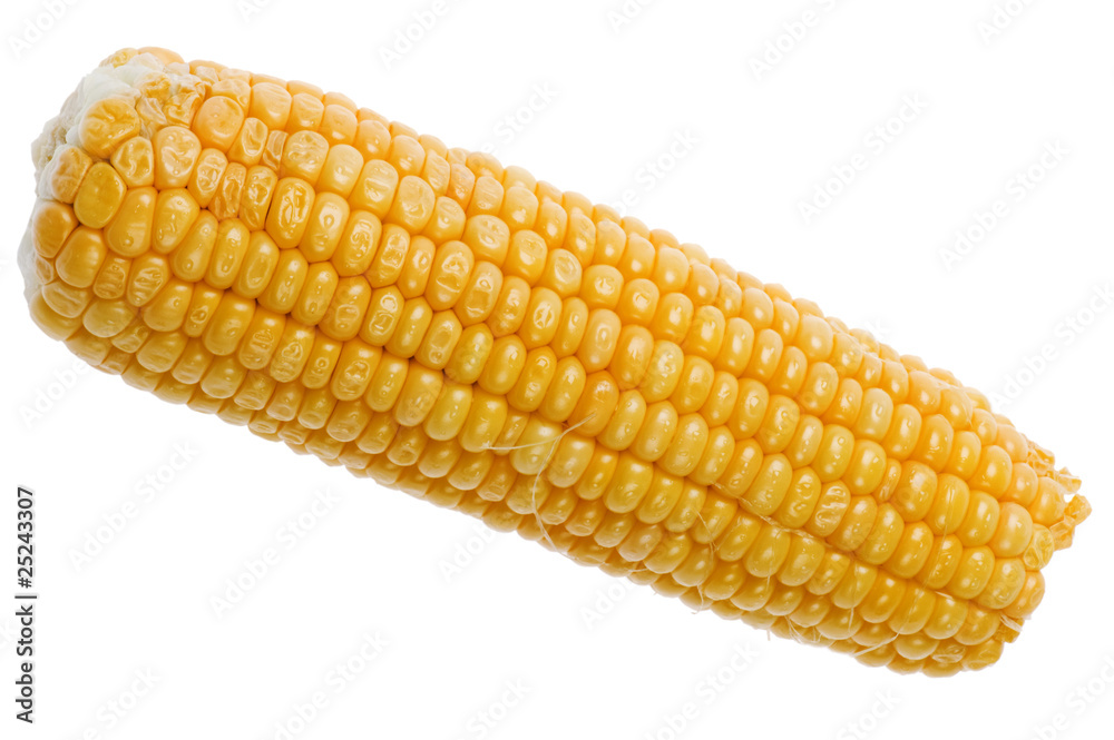 corn corn