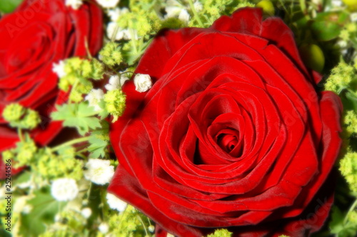 rosenduft