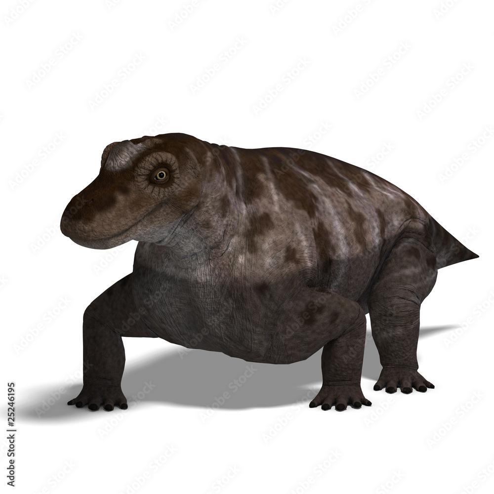 Dinosaur Keratocephalus.3D rendering with clipping path and shad Dinosaur Keratocephalus.3D rendering with clipping path and shad