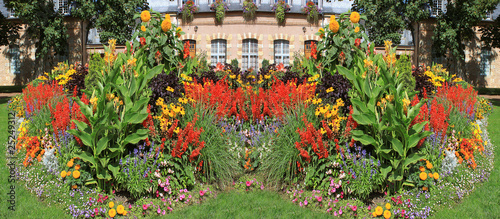 Foto Jardin fleuri