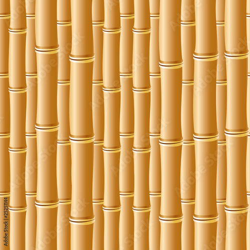 bamboo background