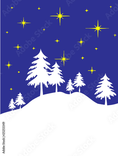 Schneelandschaft bei Nacht