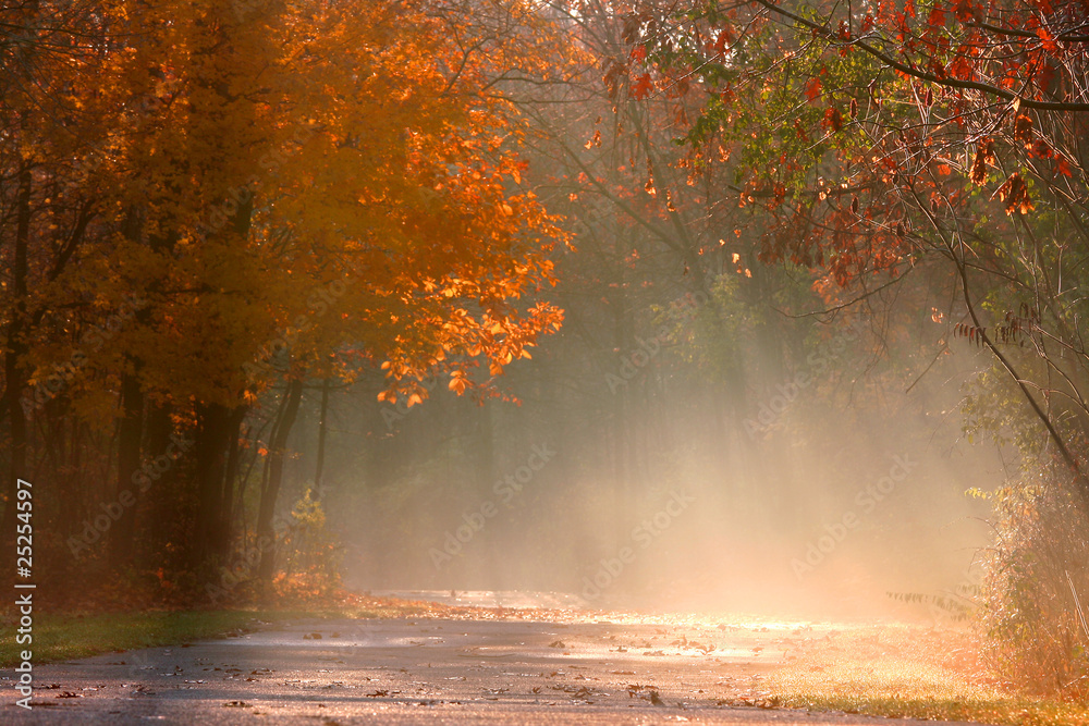 Misty autumn landscape