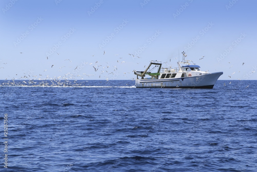 professional fisherboat many seagulls blue ocean