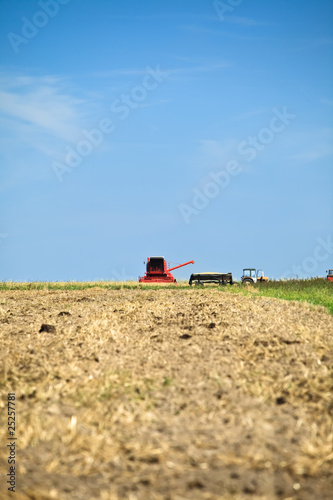 Tractor and combine harvesting wheat