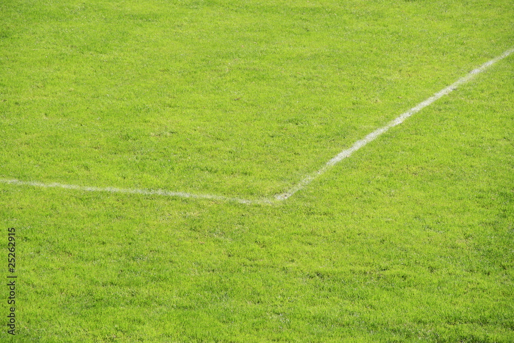 Obraz premium Fußballplatz