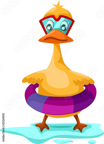 Funny duck