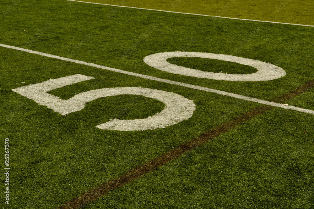 Fake Grass Football Field Fifty Yard Line
