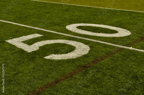 Fake Grass Football Field Fifty Yard Line