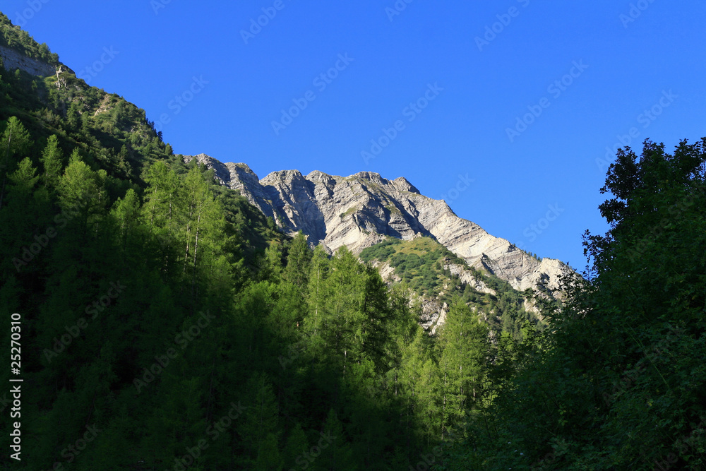 Fototapeta premium tôt le matin dans la vallée