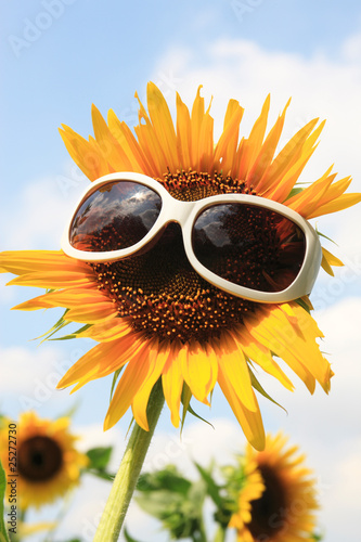 Fototapeta Naklejka Na Ścianę i Meble -  ヒマワリとサングラス