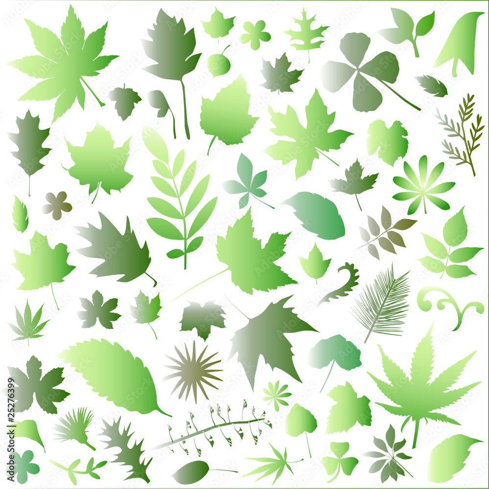 leaf big set leaf big set