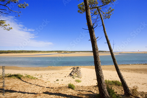 france,85,jard sur mer : plage du veillon,la guittière