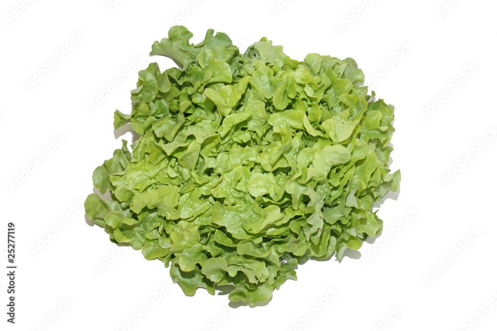 salade salade