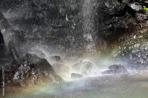 Springbrook National Park