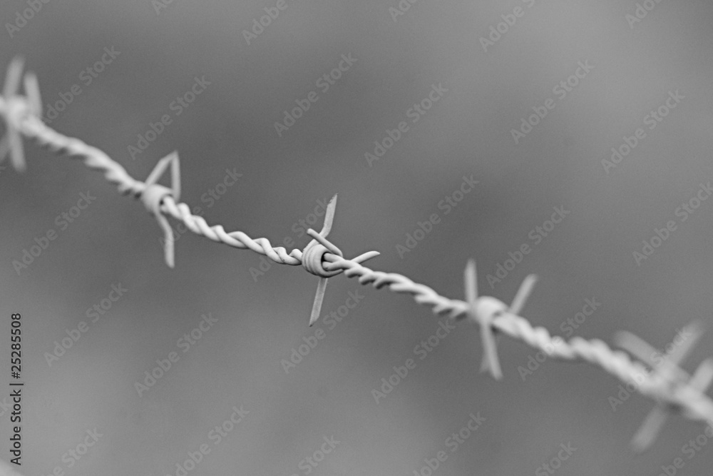 Obraz premium Barbed wire