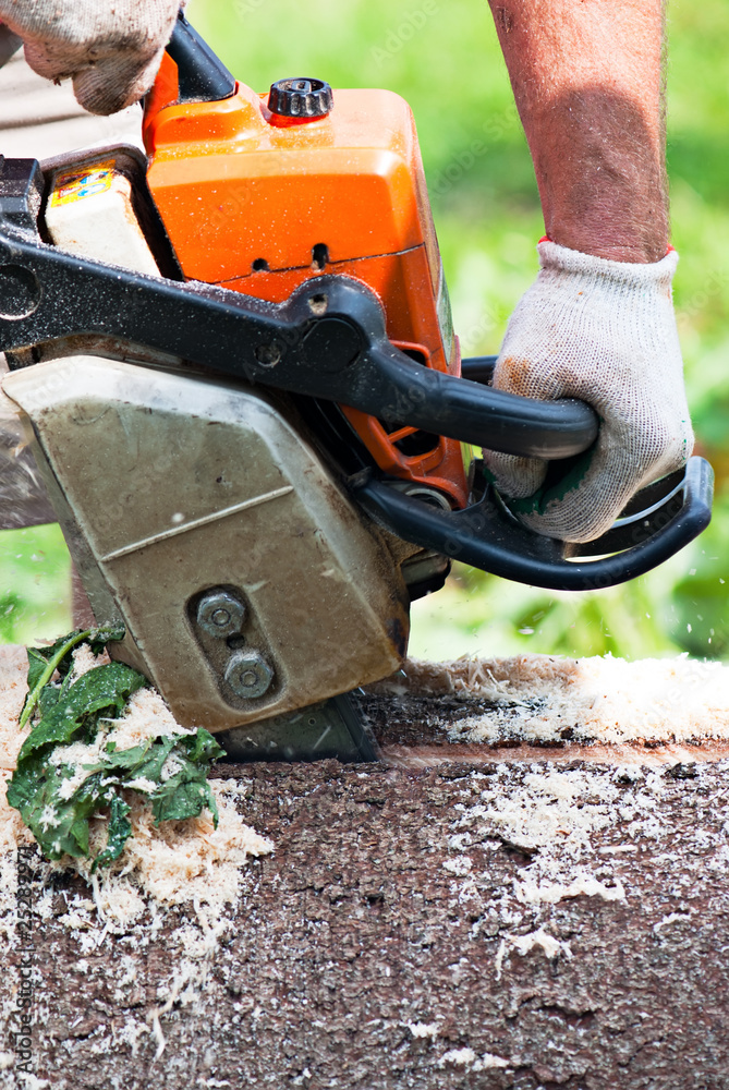 Lumberjack cutting the log of wood with petrol chainsaw