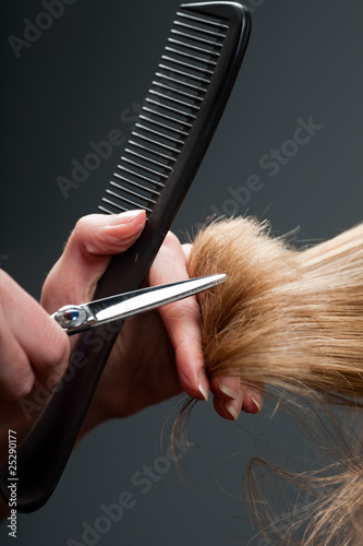 Hairdresser cutting hair