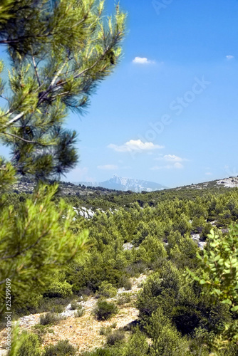 Blick zum Mont de la Saoupe photo