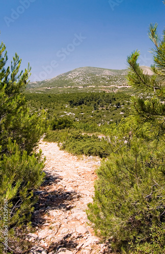 Blick vom Forêt de la Gardiole zum Mont Carpiagne photo
