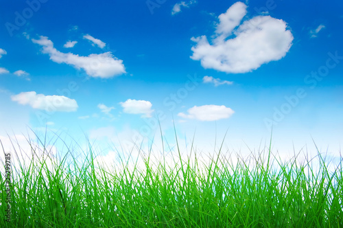 green grass blue sky