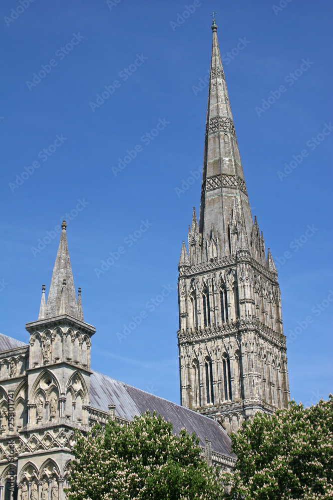 Salisbury cathedral