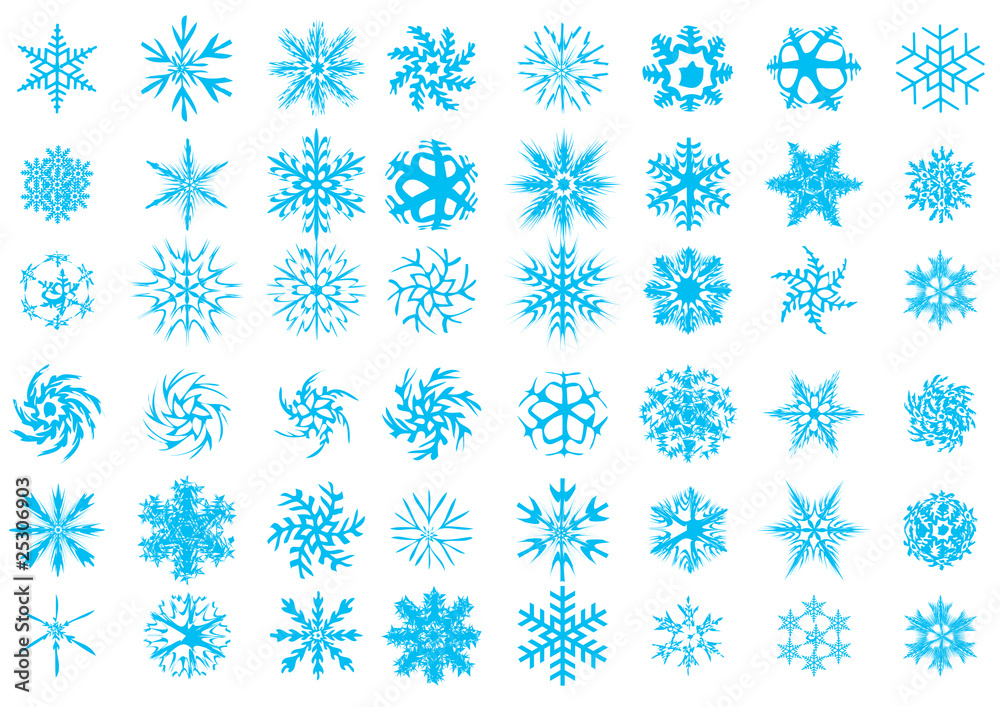 Vector.48 different beauty snowflakes