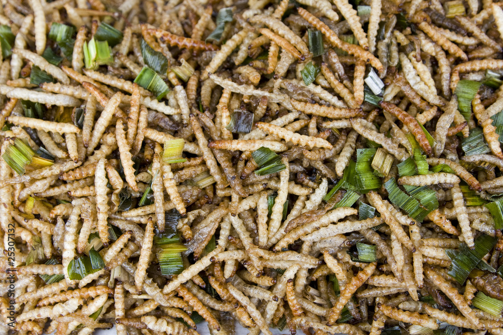 A pile of deep fried caterpillars - a snack often used in Asia