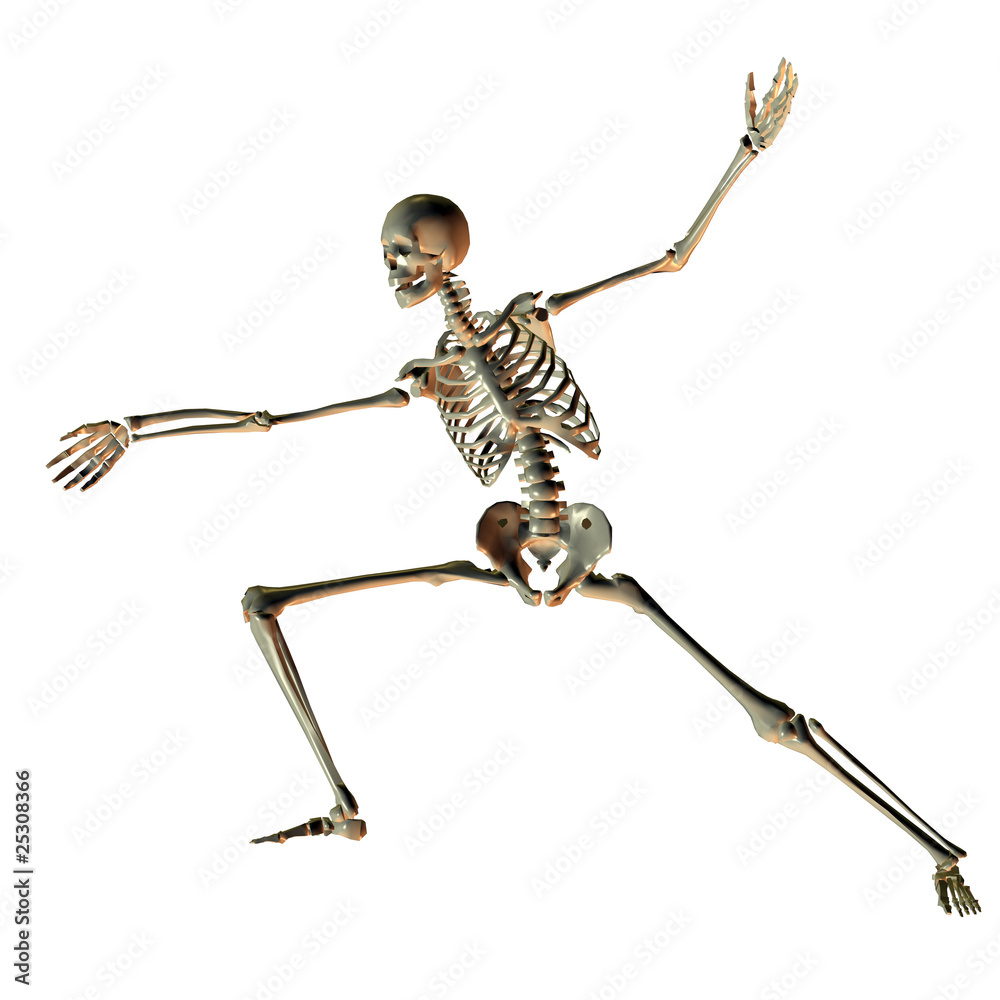 Skelett in Fecht Pose als Illustration Skelett in Fecht Pose als Illustration