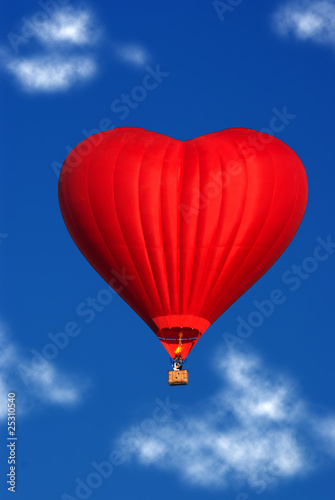 newlyweds fly in a balloon
