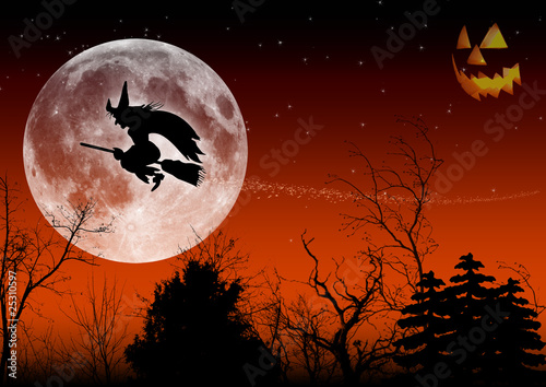 Halloween Hexenflug