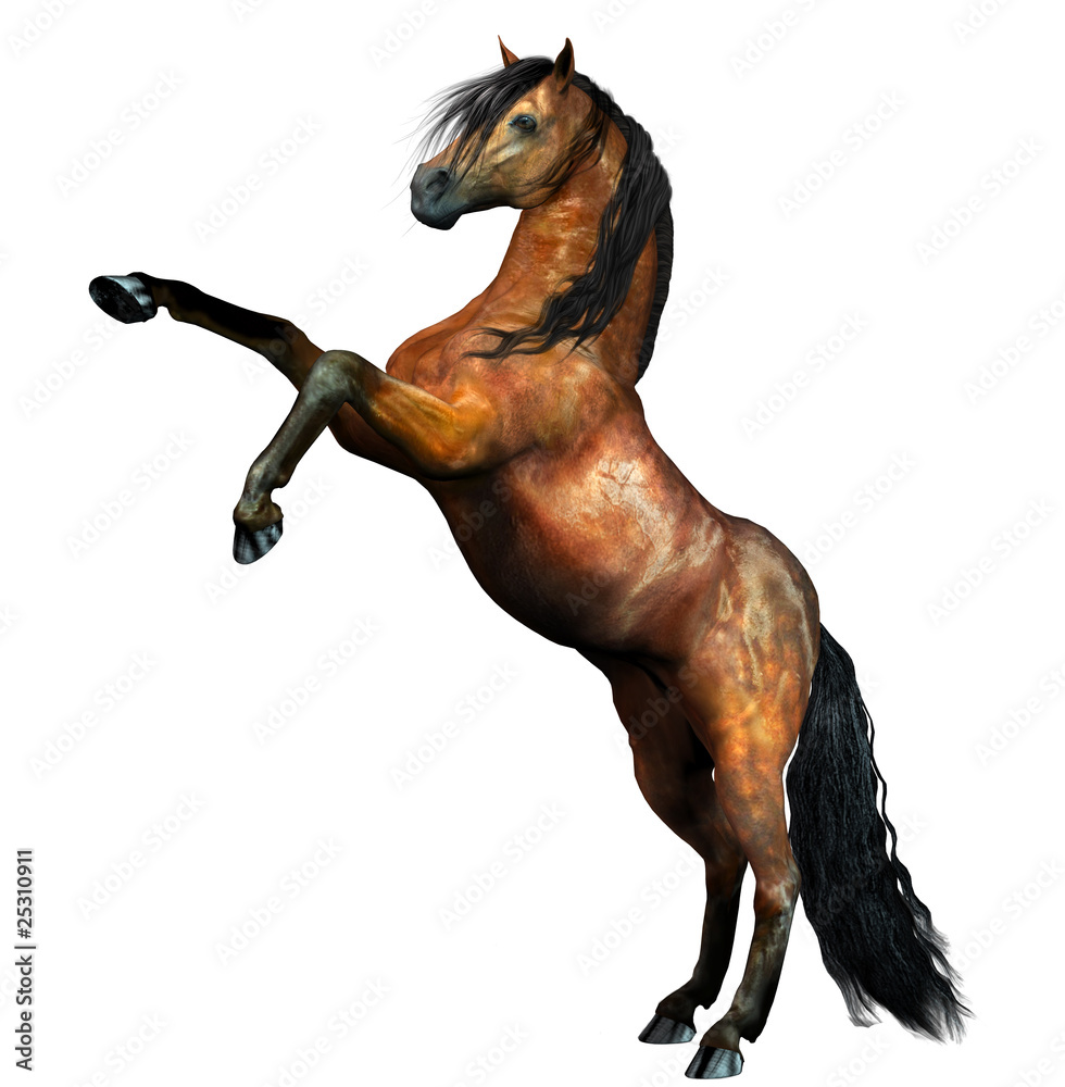 steigendes-pferd-stock-illustration-adobe-stock